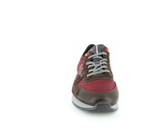 Floris Van Bommel Sneakers bordeaux