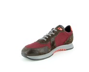 Floris Van Bommel Sneakers bordeaux