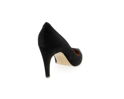 Voltan Pumps