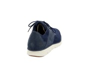 Timberland Sneakers blauw