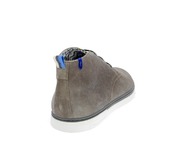 Floris Van Bommel Bottines taupe