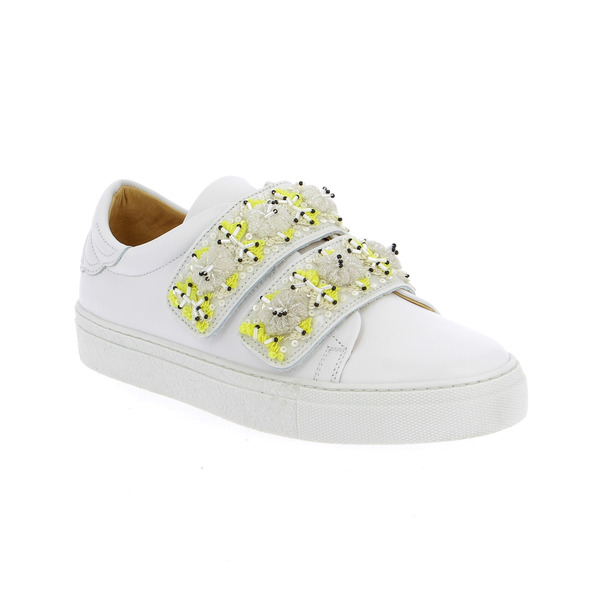 Svnty Baskets