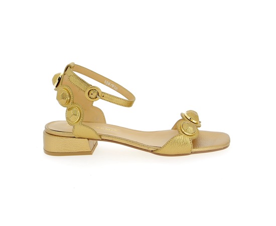 Bruno Premi Sandalen goud