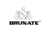  Brunate