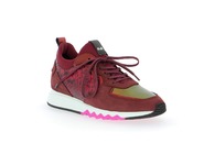 Floris Van Bommel Basket bordeaux