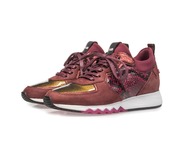 Floris Van Bommel Sneakers bordeaux