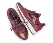 Floris Van Bommel Sneakers bordeaux