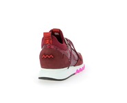 Floris Van Bommel Sneakers bordeaux