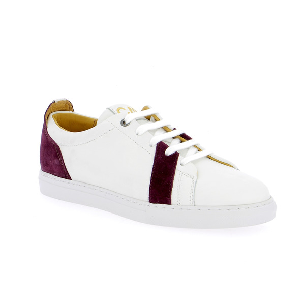 Caval Baskets