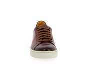 Sneakers Magnanni cognac