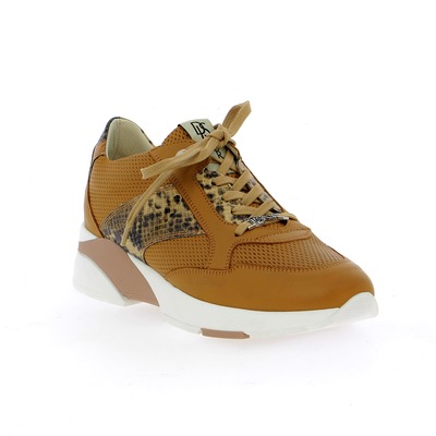 Dlsport Sneakers cognac