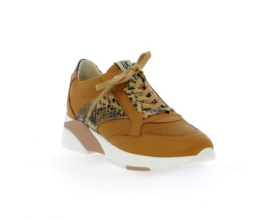 Dlsport Sneakers cognac