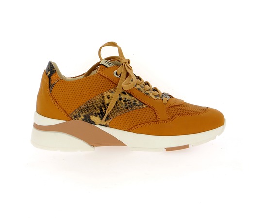 Dlsport Sneakers cognac