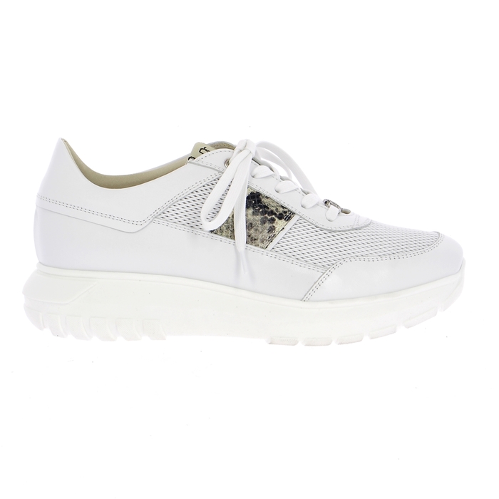 Dlsport basket blanc blanc
