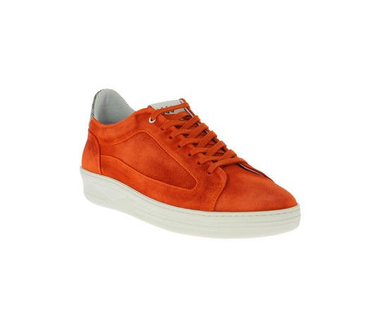 Floris Van Bommel Basket rouille