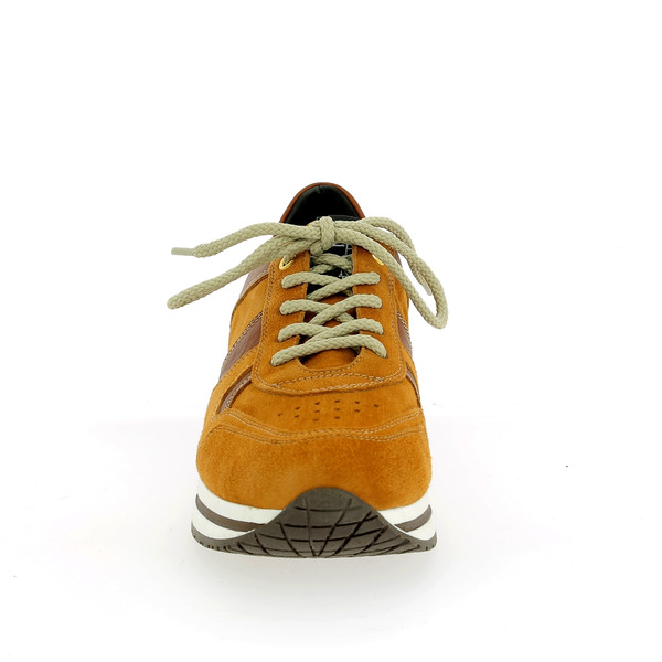 Dlsport Sneakers