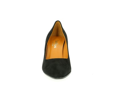 Voltan Pumps