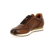 Daniel Kenneth Sneakers bruin