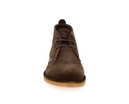 Us Polo Assn Bottines brun