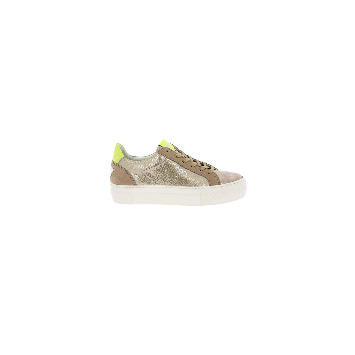 12229_5.JPG