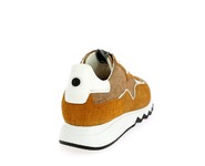 Floris Van Bommel Sneakers cognac