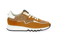 Floris Van Bommel Sneakers cognac