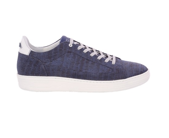 Floris Van Bommel Basket bleu