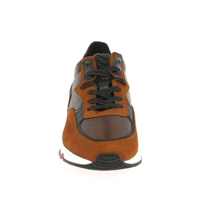 Floris Van Bommel basket brun brun