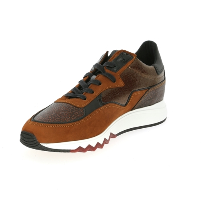 Floris Van Bommel basket brun brun