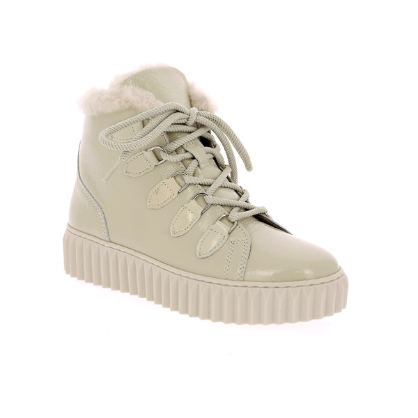 Alpe Bottines