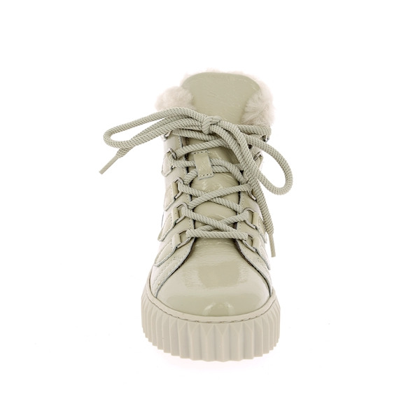 Alpe Bottines