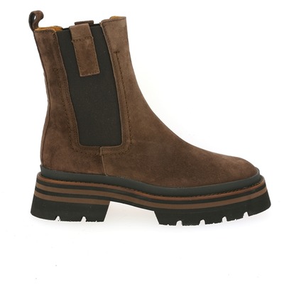 Alpe Boots bruin