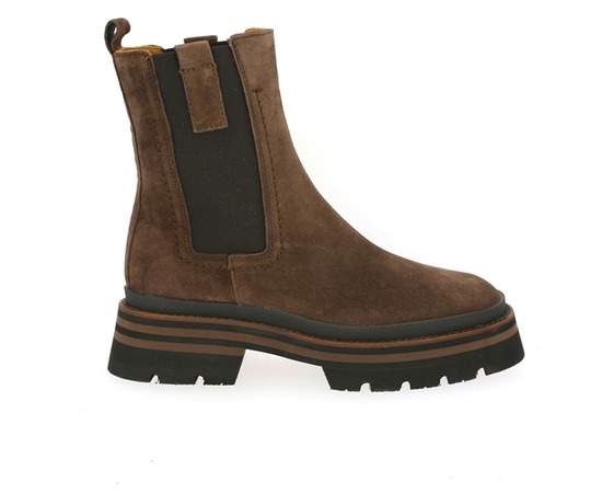 Alpe Boots bruin