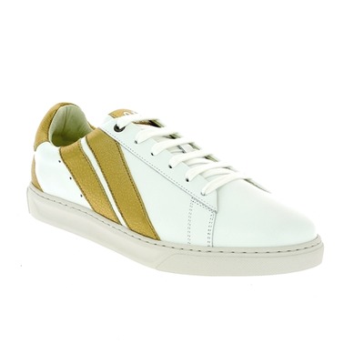 Caval Sneakers goud