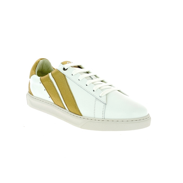 Caval Baskets