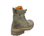 Floris Van Bommel Bottines taupe