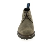 Floris Van Bommel Bottines taupe