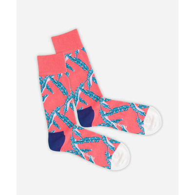 Chaussettes Dillysocks Rose