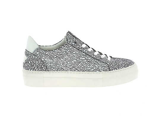 Floris Van Bommel Sneakers wit