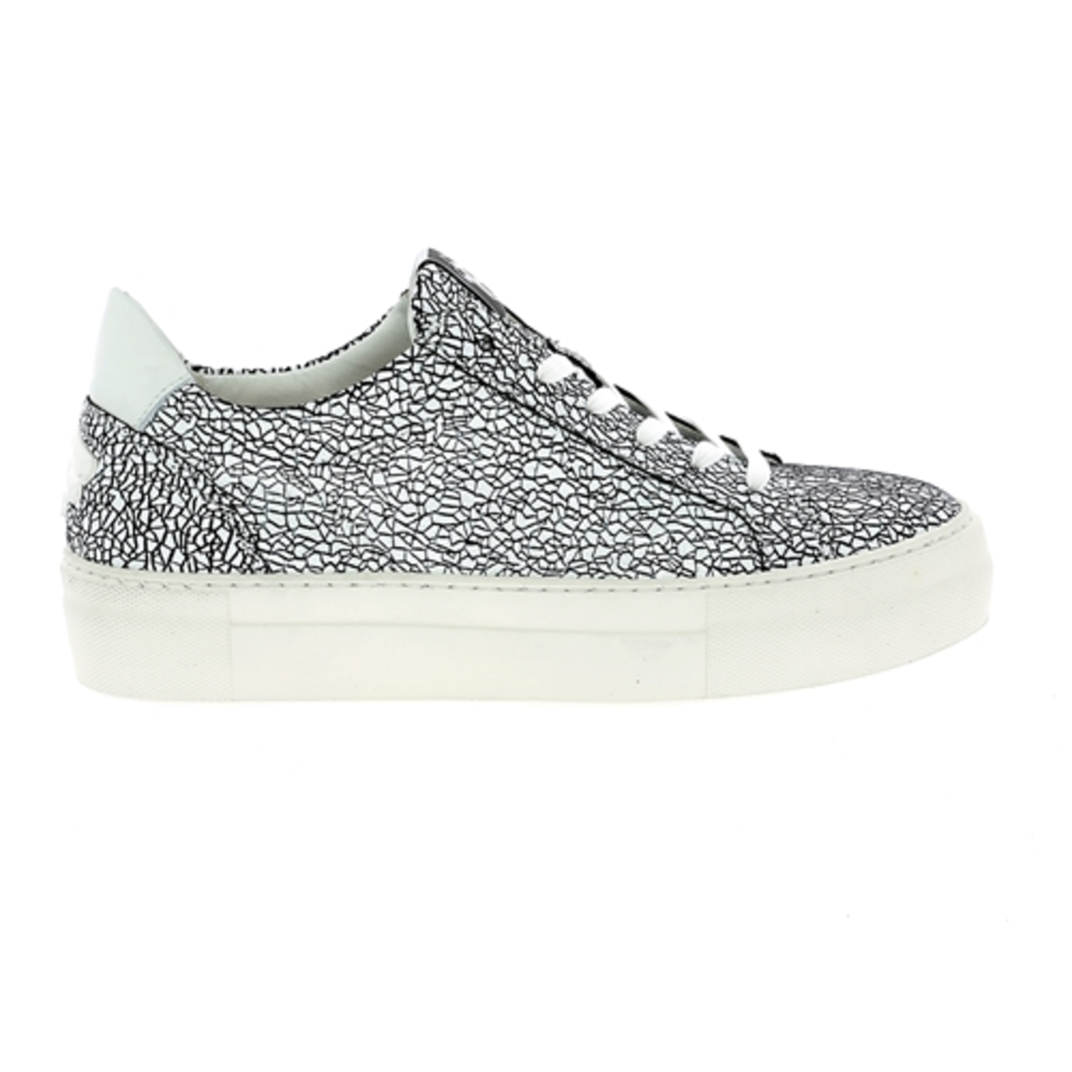 Zoom Floris Van Bommel sneakers wit