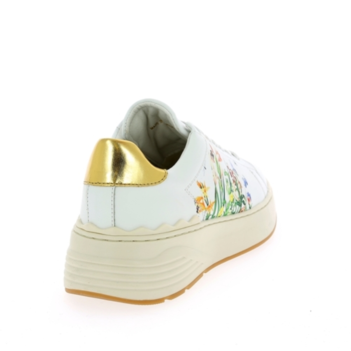 Cycleur De Luxe sneakers goud goud