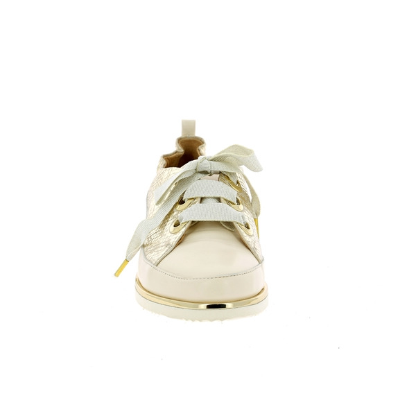 Xsa Baskets