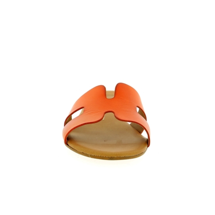 Delaere mulles orange orange