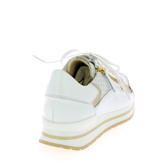 Dlsport sneakers wit wit