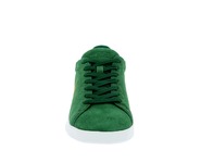 Ralph Lauren Basket vert