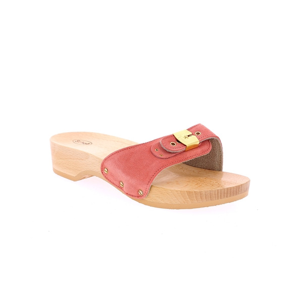Scholl Instappers