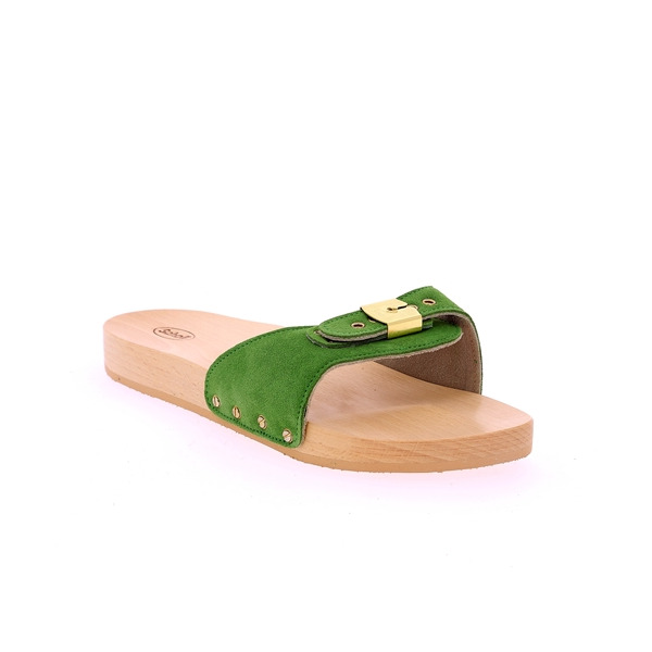 Scholl Instappers