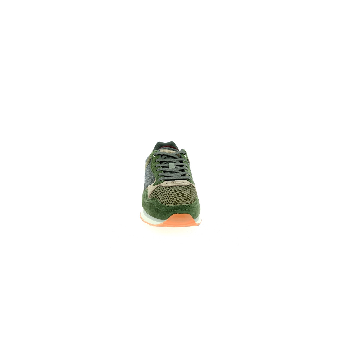 13966_2.JPG