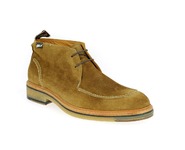 Floris Van Bommel Bottines camel