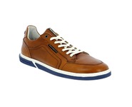 Floris Van Bommel Sneakers cognac